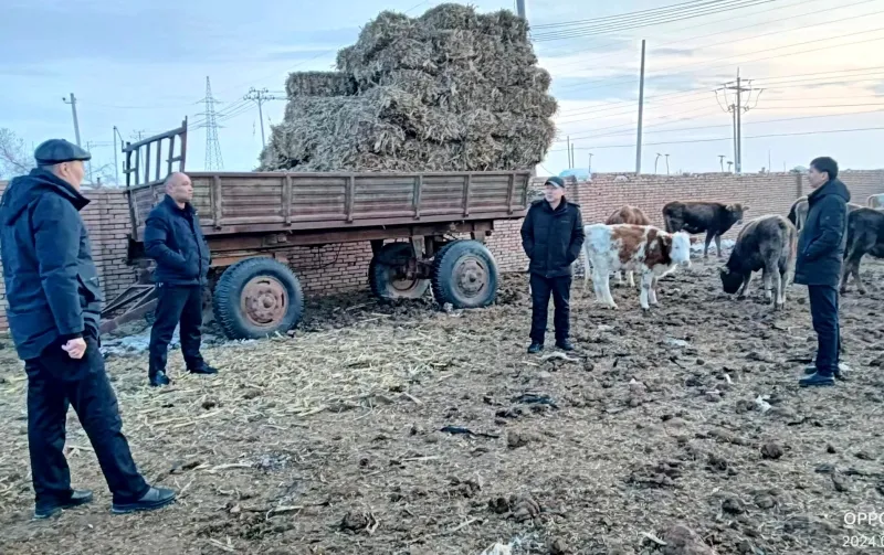 B741B