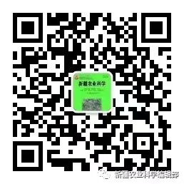 C2A6 C2A6